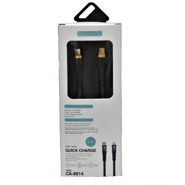 Cablu PD 9,1A Încărcare Rapidă iOS – Tip C / CA-8814