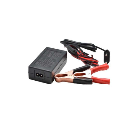 Incarcator Acumulatori Plumb-Acid 13,8V-2A/cu Clesti
