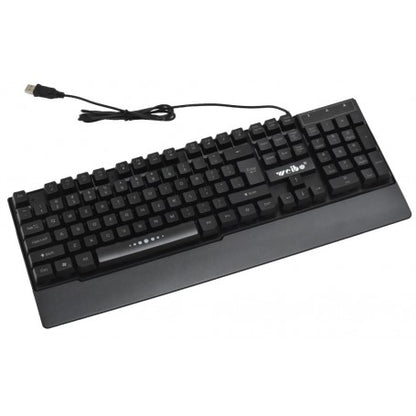 Tastatura cu Leduri RGB si USB WB-100